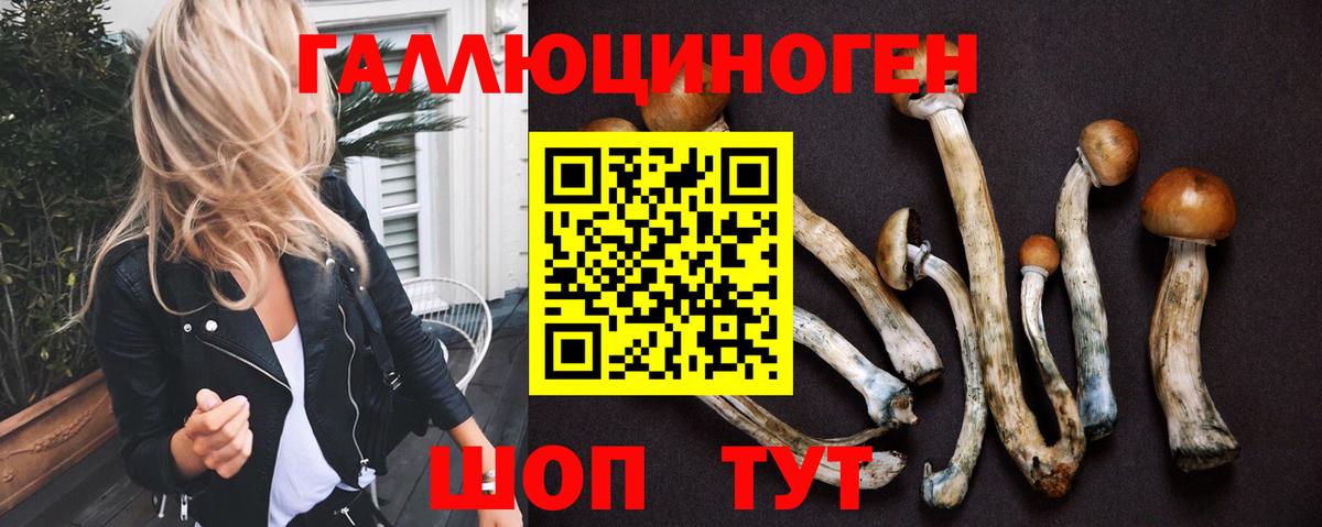 Псилоцибиновые грибы Psilocybe Волгодонск